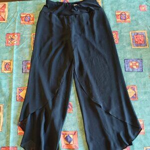 Joseph Ribkoff black dress pants.